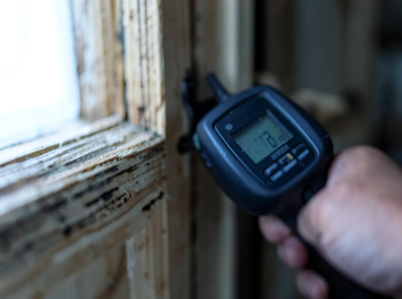 Ceiling Water Damage Repair in Intercession City, FL